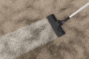 higienização e lavagem de carpetes