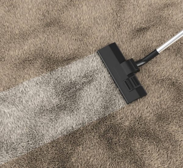 higienização de carpetes
